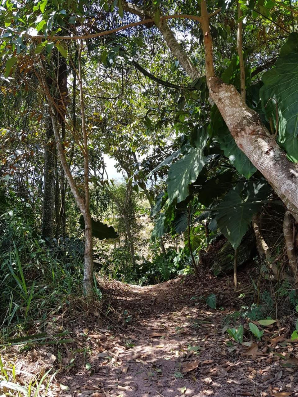 Condado De Pavas De Bucaramanga Otel Floridablanca Dış mekan fotoğraf